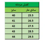 کفش مردانه رسمی مدل سورن کشی رنگ عسلی | سایزبندی 40 تا 44 - Image 5